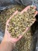 Arabica Green Coffee Bean