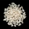 Italian Arborio Rice