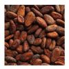 Forastero Green Cacao ...