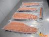 Salmon Fish Frozen Fillet