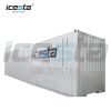 Strong Durability Icesta 20t Snowflake Ice Machine Making Snow for Skiing Resort