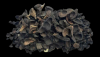 Palm Kernel Shell