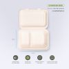 Bagasse Food Container Box Biodegradable