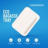 Eco Bagasse Plate Biodegradable