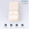 Bagasse Food Container Box Biodegradable