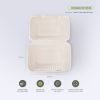 Bagasse Food Container Box Biodegradable