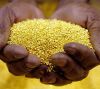 GOLD DUST, GOLD  NUGGE...