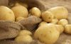 Fresh potatoes, Fresh ...