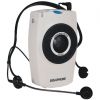 portable mini voice am...
