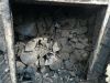 Hardwood charcoal, firewood, pellets, pallets, sawdust charcoal briquettes, wooden briquettes, timber...