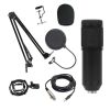 Condenser microphone-CM02