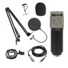 Condenser microphone-CM02