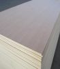 beech plywood commercial plywood used for furniture or on kitchen cabinets