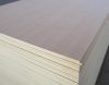 beech plywood commercial plywood used for furniture or on kitchen cabinets