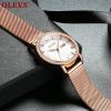 OLEVS 5881 Fashion Sport Leather Strap Quartz Watch Luxury Casual WaterProof  Feature Date and Week  WristWatch