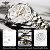 Oupinke 3172 Custom Logo OEM Classic Design Top Quality Luminous Popular Mechanical Classic Automatic Wrist Watches For Men