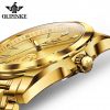 OUPINKE 3226 oem watch custom logo  Luxury waterproofed watch gold  mens  automatic Mechanical watches