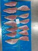 Frozen Red Mullet Fillet
