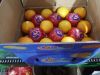 orange , lemon , grape...