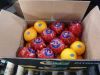 orange , lemon , grape...