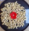 VIETNAM CASHEW NUTS WW320 AFI STANDARD FOR EXPORT