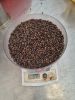 VIETNAM BLACK PEPPER 500G/L CLEANED ASTA FOR SALE