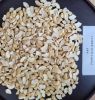 VIETNAM CASHEW NUTS WW320 AFI STANDARD FOR EXPORT