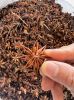 VIETNAM STAR ANISE VARIOUS QUALITY REASONABLE PRICE for sale