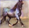 Abstract Oil Painting Horse