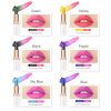 Magic Temperature Color Changing Lipstick Set Lip Stain Gloss Moisturizing Long Lasting Waterproof Lip Balm Makeup