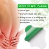 Warming Herbal Plaster Wormwood Herbal Lumbar Spine Pain Relief Patches for Knee