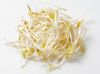 QF Bulk price frozen green bean sprouts