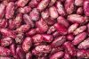 Kidney Bean, white/red/all types very good for the body contains a large amount of fiber vegetable protein