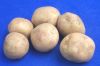 fresh potatoes
