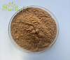 Cistanche Extract Powder Polyphenol 30% UV water soluble