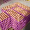 Best Quality Custom Made Wholesale Fertilized Chicken Eggs Cobb 500 Broiler Chicken Eggs Fresh Cobb 700 Fertile eggs