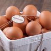 Fresh Table Chicken Eggs supplier