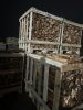 Hardwood firewood long burning time dried Acacia Eucalyptus Lychee firewood for firewood stove