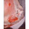 Buffalo Boneless Meat/ Frozen Beef ,cow meat,Goat beef meat for wholesale