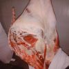 Buffalo Boneless Meat/ Frozen Beef ,cow meat,Goat beef meat for wholesale