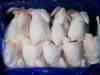 Frozen Premium Quality Chicken Feet Paws Supplier High Quality Chicken Feet Paws Bulk Supply from USA