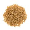 Best Quality Dried Wheat Grain For Cheapest Price Grade 1 and Grade 2 Milling Golden Wheat