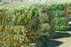 CHEAP ALFAFA HAY READY FOR SUPPLY/ Alfalfa hay with high protein for animal feeding/Top Quality