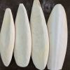 Cuttlebone Blister Pack 6" Single White Animal Birds Hand Wash Calcium Supplement