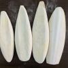 CUTTLEFISH BONE / CUTTLE BONE / SEPIA CUTTLEBONE FOR BIRD