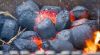 Bulk Quantity Activated Carbon Powder organic acid Decoloration Activated Charcoal Price