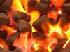 Bulk Quantity Activated Carbon Powder organic acid Decoloration Activated Charcoal Price