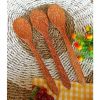 Spatula & Scoop
