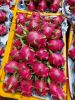 VietNamese Fresh Dragon Fruit - White Flesh - 5KG/CTN