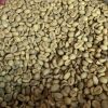 Arabica coffee beans. High grade VIP Price